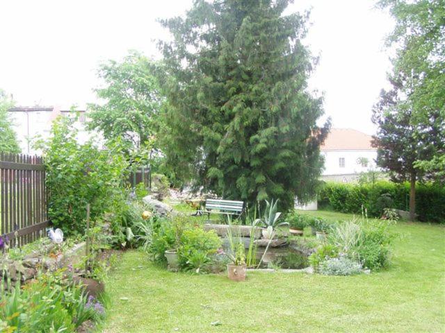 Penzion U Pesku Horní Planá Bagian luar foto