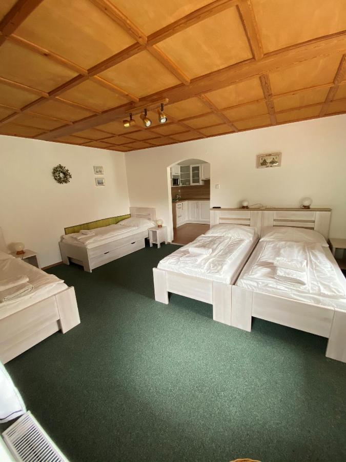 Penzion U Pesku Horní Planá Bagian luar foto